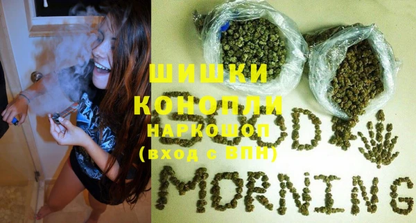 крисы Володарск