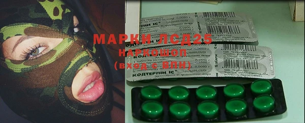 крисы Володарск