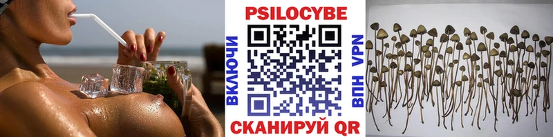 хочу наркоту  blacksprut ТОР  Галлюциногенные грибы мухоморы  Северск 