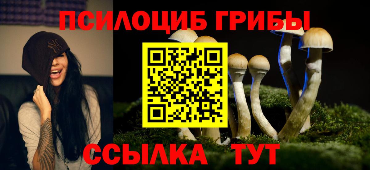 Псилоцибиновые грибы Psilocybe  Вход с VPN  Северск 